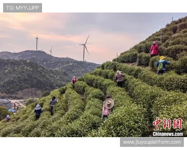 从茶园到白茶园：繁昌站赛道穿越农业景观，体育与乡村振兴相结合
